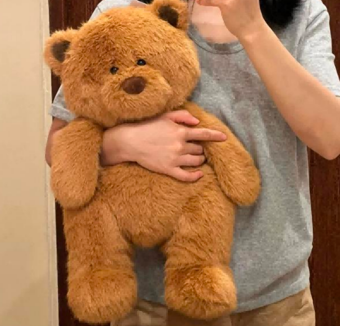 Oso de peluche - CA458