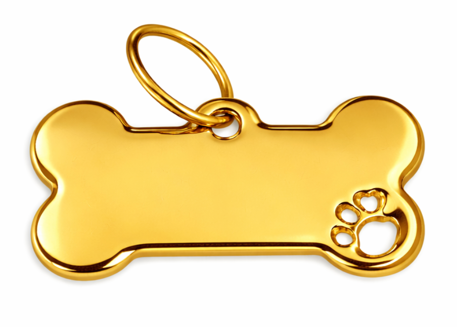 Dog Bone ID Tag - CA403