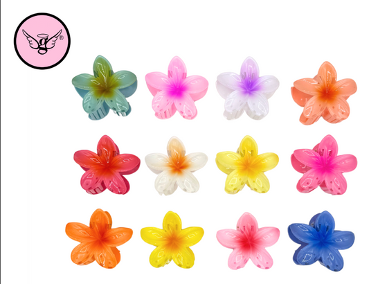Acrylic Flower Hair Clip – HWI-362