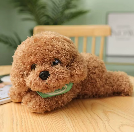 Puppy Plush (CA455)