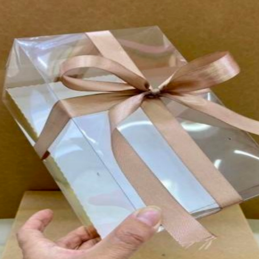 Caja de almacenamiento de plástico transparente / H8-4