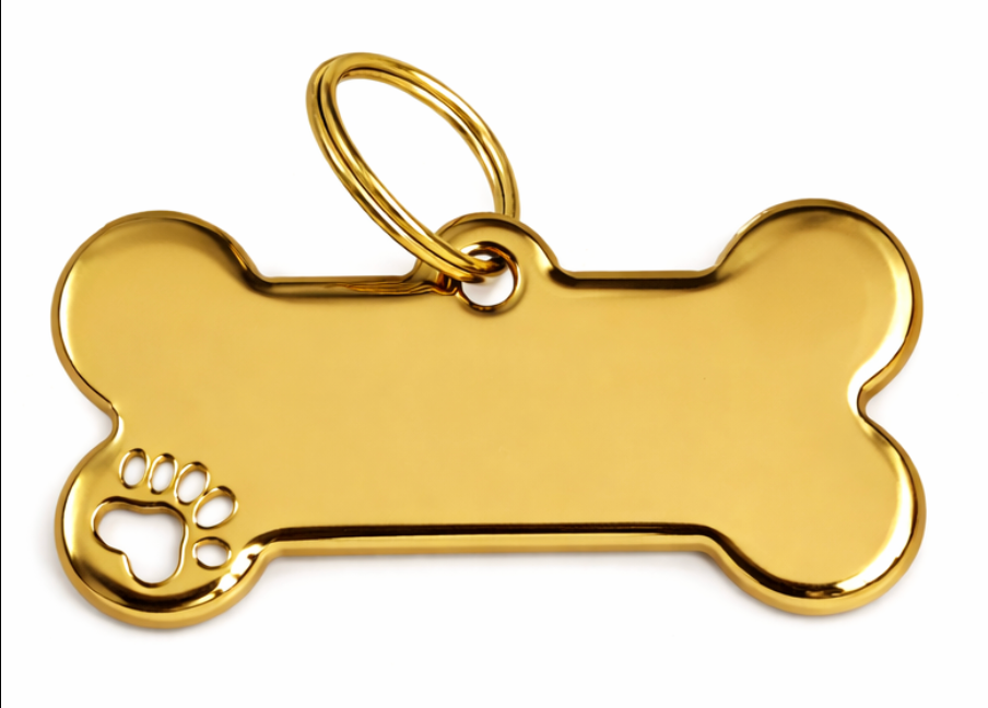 Small Dog Bone ID Tag - CA402